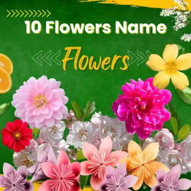10 Flowers Name – Hindi and English