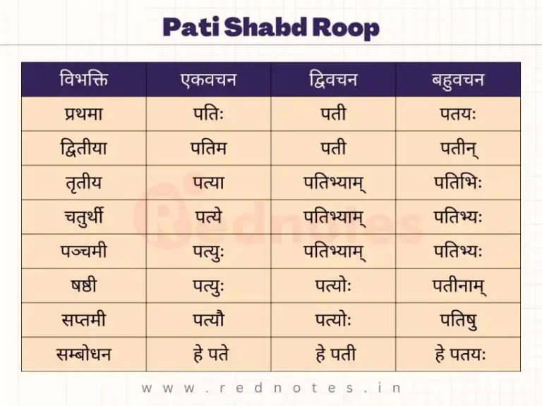 Pati Shabd Roop | Pati Shabd Roop In Sanskrit
