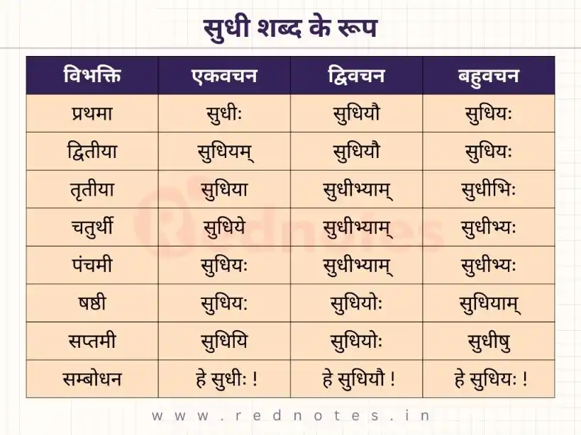 Sudhi Shabd Roop In Sanskrit