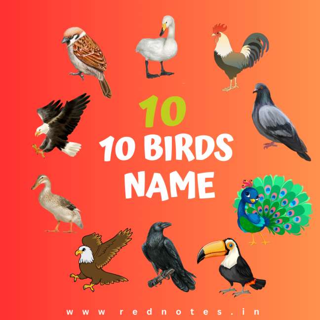10 Birds Name – 10 Birds Name Hindi Ans English with Pictures