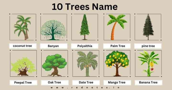 10 Trees Name : 10 Trees Name in Hindi and English