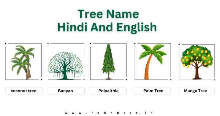 5 Tree Name : 5 Tree Name Hindi And English