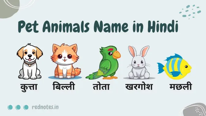 Pet Animals Name in Hindi – पालतू जानवरो के नाम