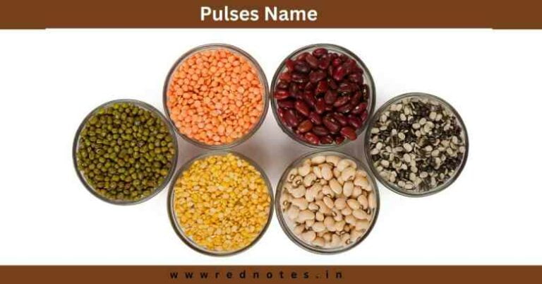 Pulses Name – List of All Pulses Names