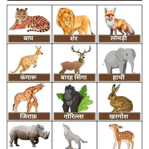 Wild-Animals-Name-In-Hindi