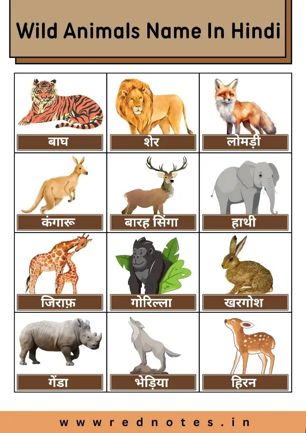 Wild Animals Name In Hindi – List of Animals in Hindi
